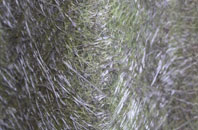 Ordley fibreglass roof work